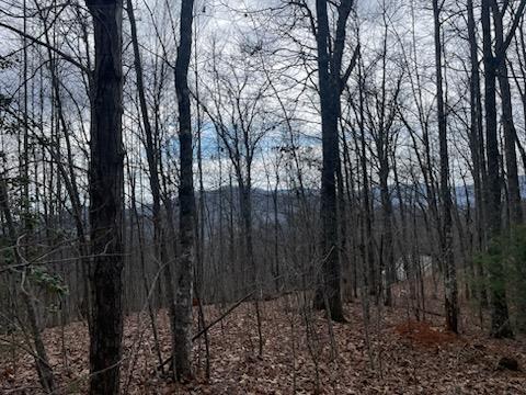 Listing Photo 26039817