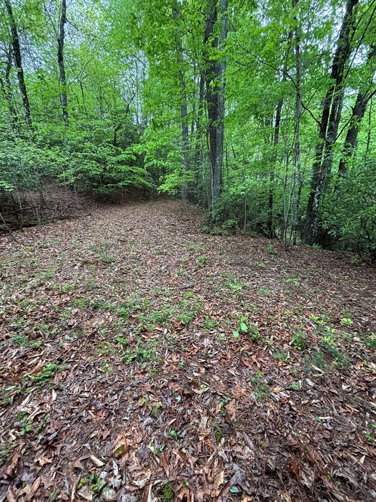 Listing Photo 26041105